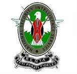 NIS — National Intelligence Service (Kenya) logo
